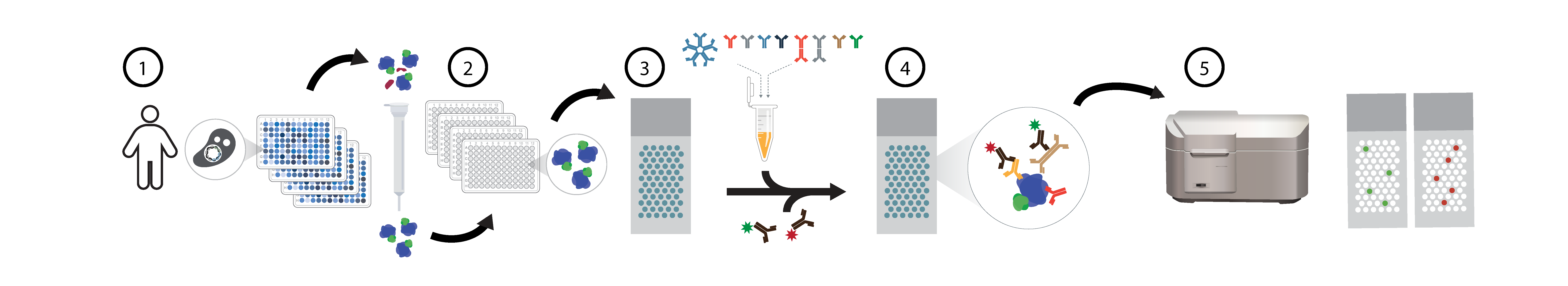 HuProt Assay Overview