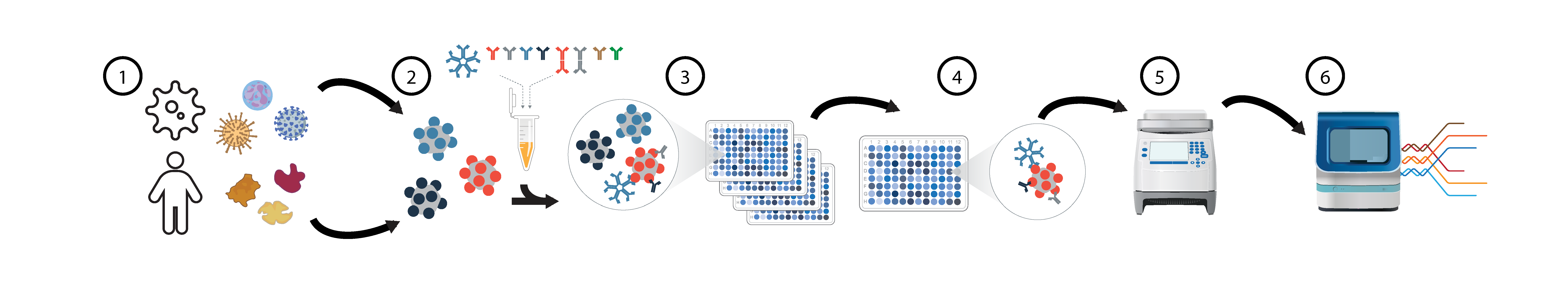PhIP-Seq Assays